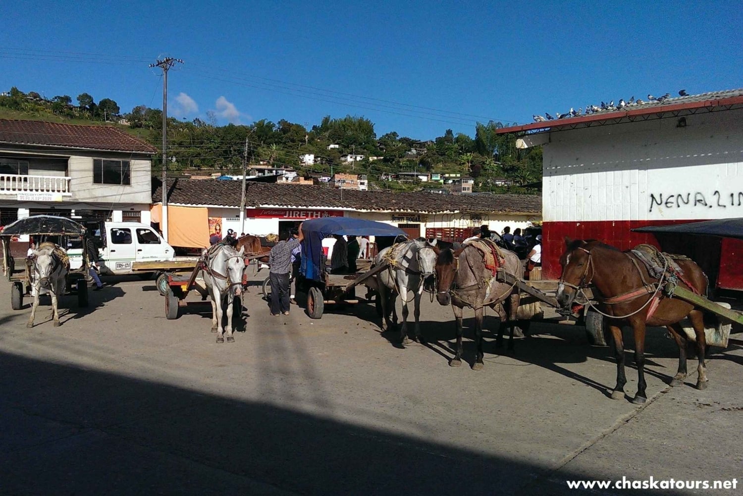 Privat rundvandring i San Agustín