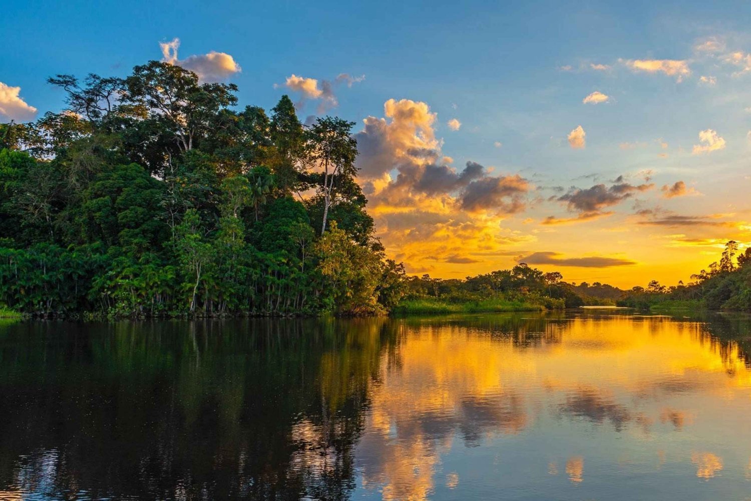 Private Colombia 4-Day Amazon Jungle Tour