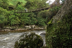 Prywatny rafting z przewodnikiem na rzece Magdalena
