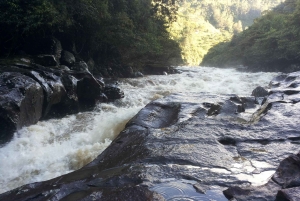 Private Guided Rafting on Magdalena River