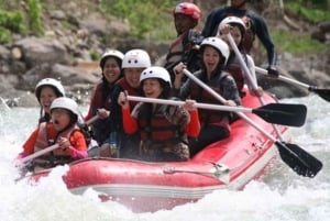 Private Guided Rafting on Magdalena River
