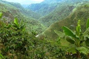 Privat jeeptur til omgivelsene rundt San Agustín