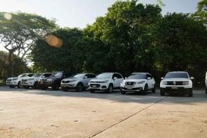 Transfert aéroport privé de Pereira : De/vers Salento