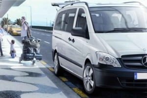 Privat Pereira flygtransfer: Till/Från Salento