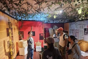 プライベートツアー：ココラ渓谷、フィランディア、サレント
