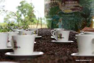 Private Tour in an Authentic, Ecological Local Coffee Finca