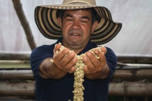 Private Tour in an Authentic, Ecological Local Coffee Finca