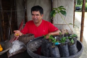 Private Tour in an Authentic, Ecological Local Coffee Finca