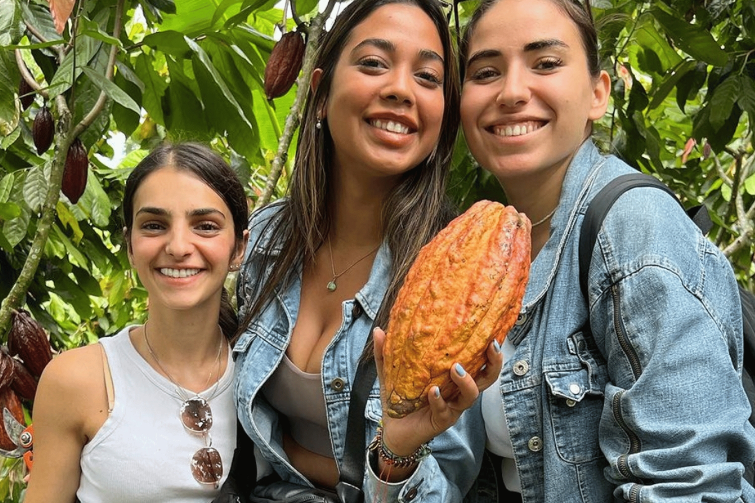 Privat rundtur i chokladplantage och bearbetning