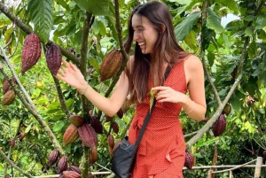 Visite privée de la plantation et de la transformation du chocolat