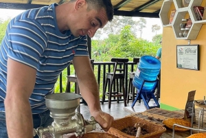 Visite privée de la plantation et de la transformation du chocolat