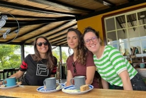 Visite privée de la plantation et de la transformation du chocolat