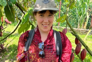 Visite privée de la plantation et de la transformation du chocolat