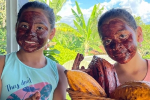 Visite privée de la plantation et de la transformation du chocolat