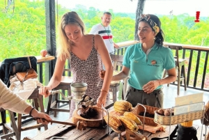 Privat rundtur i chokladplantage och bearbetning