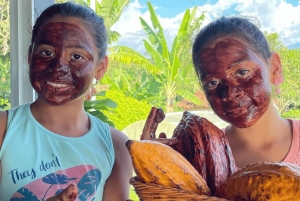 Privat rundtur i chokladplantage och bearbetning
