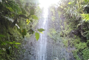 キンチャナのラガイタナ考古学公園へのプライベートツアーをご案内いたします