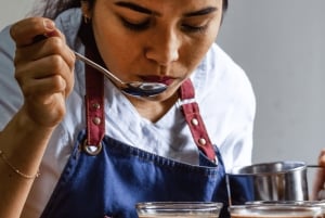 Privat tur till Zipaquirá med saltkatedral och kaffesmakning, från Bogotá