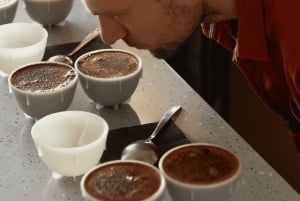 Privat tur till Zipaquirá med saltkatedral och kaffesmakning, från Bogotá