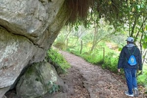 Bogota: La Chorreran vesiputouksen opastettu vaellus ja Guadalupen mäki