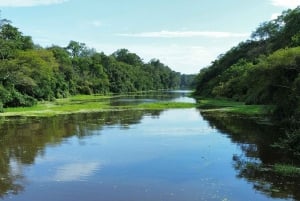Puerto Nariño: Tre dages tur til Amazonasjunglen og søerne