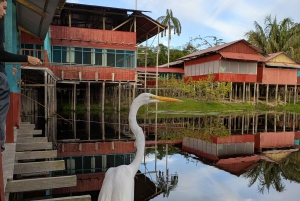 Puerto Nariño: Tre dages tur til Amazonasjunglen og søerne