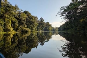 Puerto Nariño: Tre dages tur til Amazonasjunglen og søerne