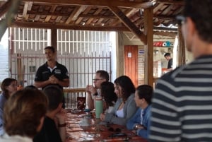 Quimbaya: 'Cacao Journey from Bean to Bliss' Farm Tour