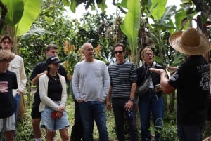 Quimbaya: 'Cacao Journey from Bean to Bliss' Farm Tour