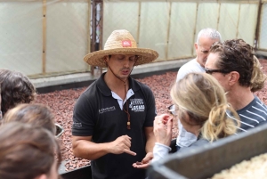 Quimbaya: 'Kakao-rejse fra bønne til lykke' gårdstur