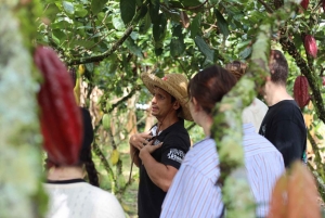 Quimbaya: 'Kakao-rejse fra bønne til lykke' gårdstur