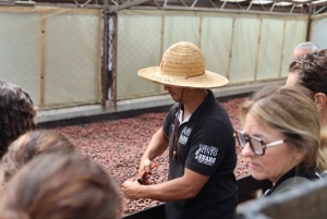 Quimbaya: 'Kakao-rejse fra bønne til lykke' gårdstur