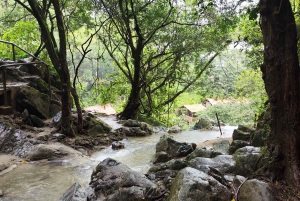 Palomino: Hiking Tour of Valencia Waterfalls with Transfers