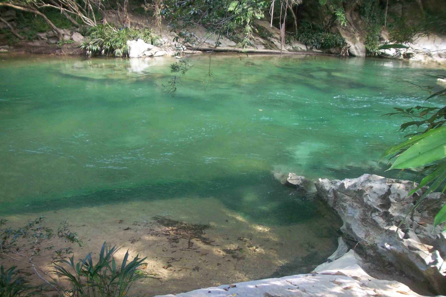 Description Rio-claro-jungle-river-private-tour-from-medellin-527980
