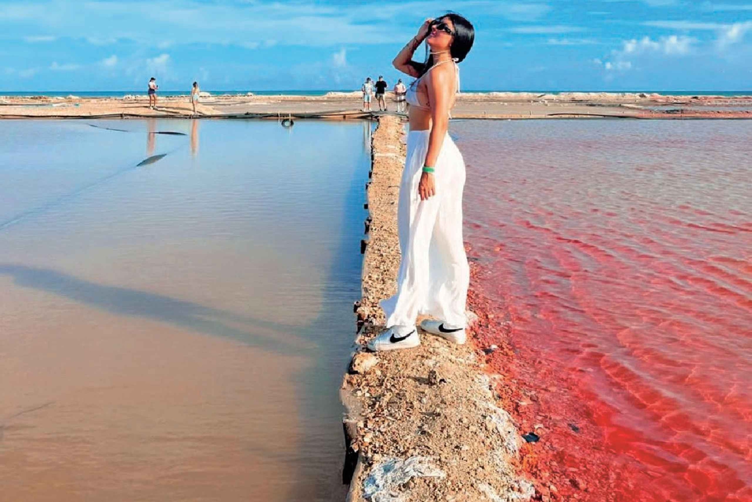 Riohacha : excursion d'une journée aux marais salants roses de Manaure et à la plage