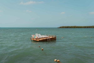 Rosario Islands: Private Speedboat Tour from Cartagena