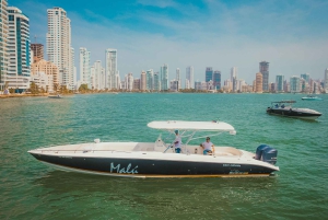 Rosario Islands: Private Speedboat Tour from Cartagena