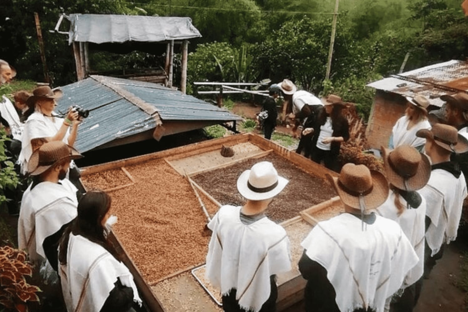 Tour del Salento e della Cócora + Fattoria del caffè da Pereira/Armenia