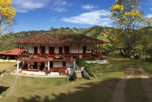 Salento and Cócora Tour + Coffee Farm from Pereira/Armenia
