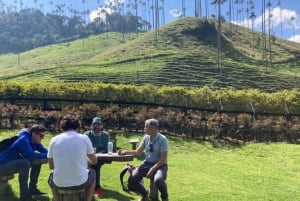 Salento and Cócora Tour + Coffee Farm from Pereira/Armenia