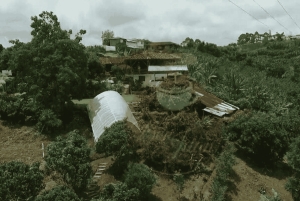 Tour del Salento e della Cócora + Fattoria del caffè da Pereira/Armenia