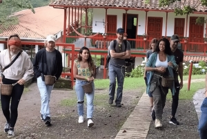 Tour del Salento e della Cócora + Fattoria del caffè da Pereira/Armenia