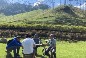 Tour del Salento e della Cócora + Fattoria del caffè da Pereira/Armenia
