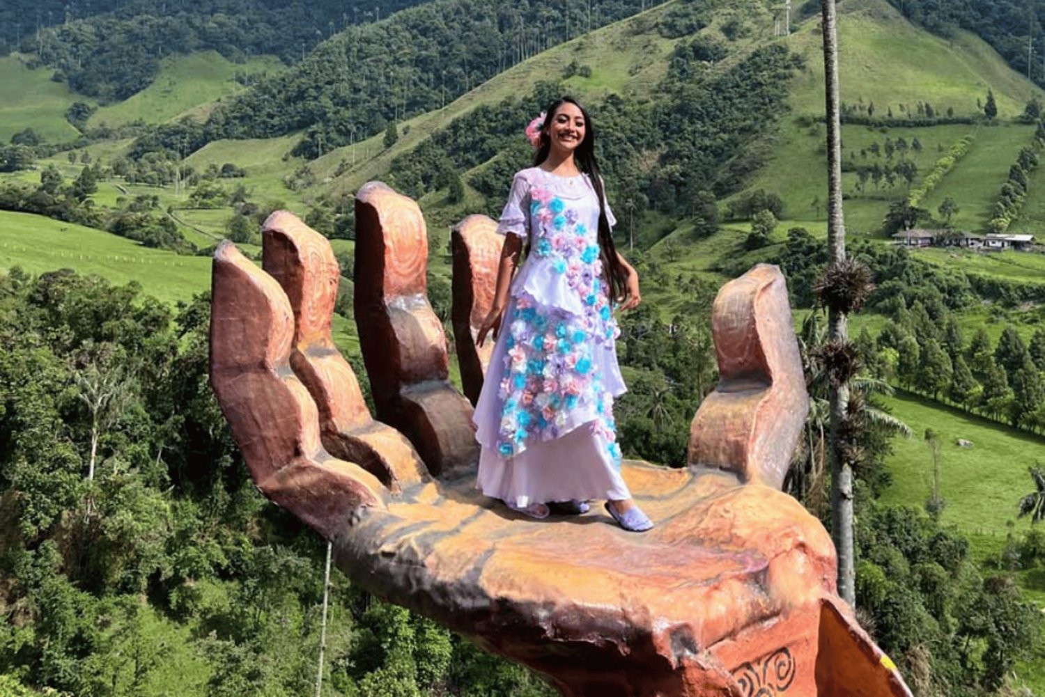 ペレイラまたはアルメニア発のサレントとココラバレーのフルプラン