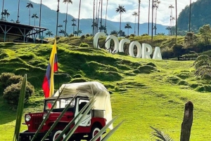Salento and Cocora Valley Full Plan from Pereira or Armenia