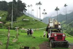 ペレイラまたはアルメニア発のサレントとココラバレーのフルプラン