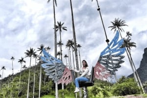 ペレイラまたはアルメニア発のサレントとココラバレーのフルプラン