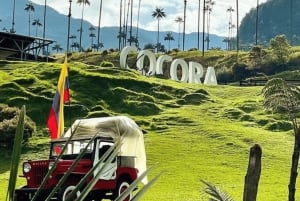 ペレイラまたはアルメニア発のサレントとココラバレーのフルプラン