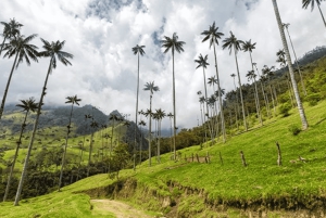 ペレイラまたはアルメニア発のサレントとココラバレーのフルプラン