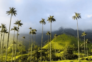 ペレイラまたはアルメニア発のサレントとココラバレーのフルプラン